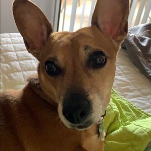 Meet your Posher, Vicky